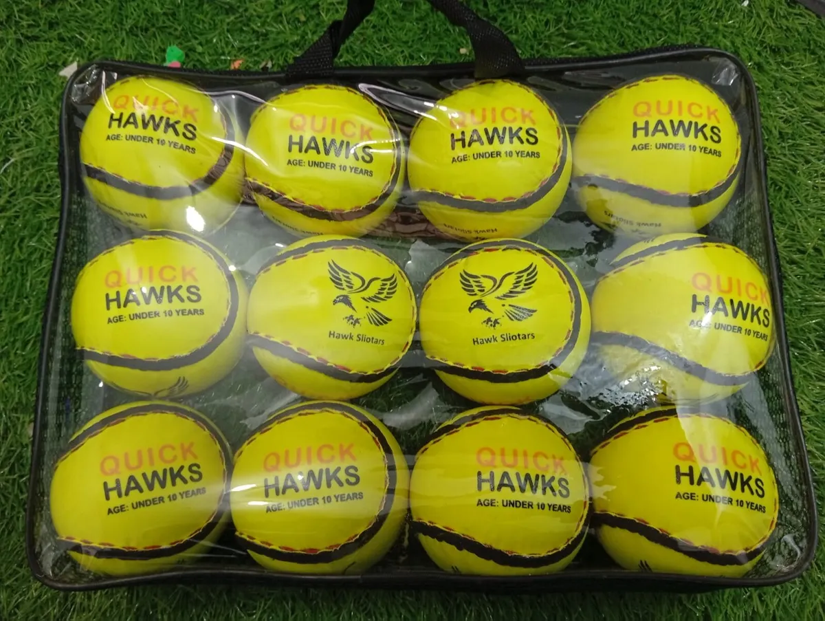 Start your own hurling business - Image 3