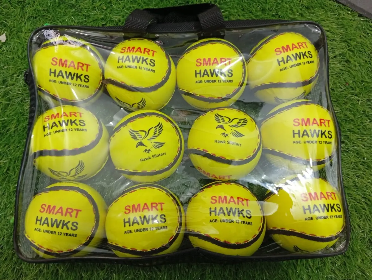 Start your own hurling business - Image 4