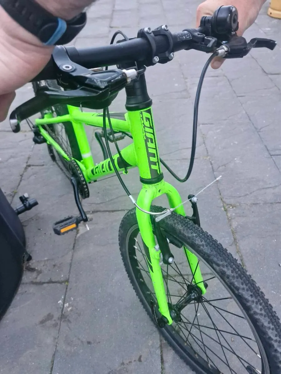 Giant ARX green - Image 2