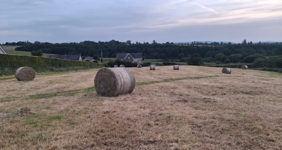 Round Bales of Hay