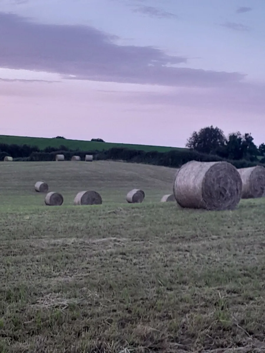 Big Round Bales of Hay
