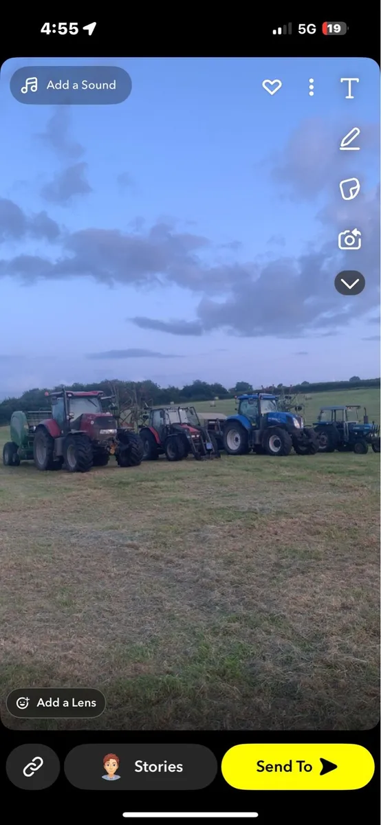 Hay for sale - Image 1
