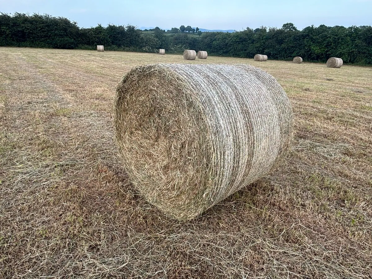 Hay Bales P.O.A. - Image 2