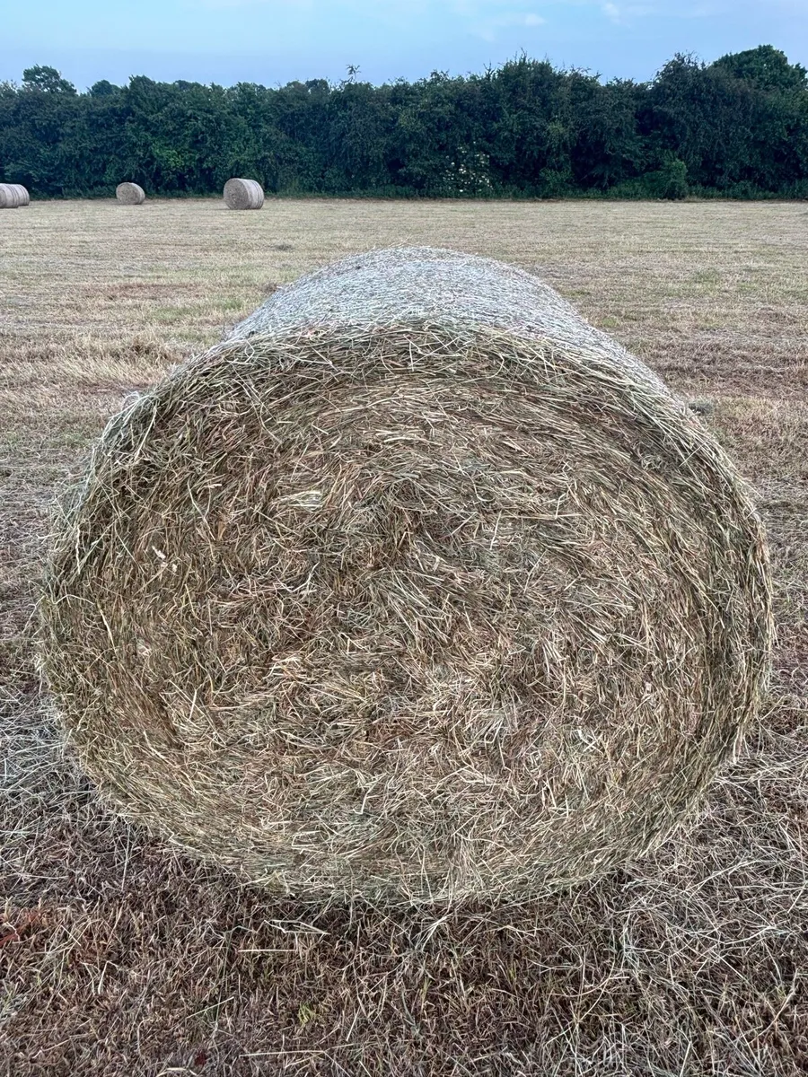 Hay Bales P.O.A. - Image 3