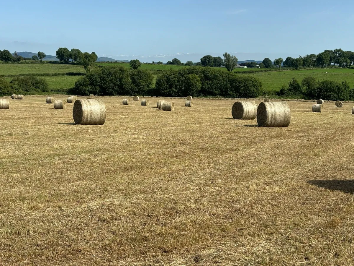 Hay Bales P.O.A. - Image 1