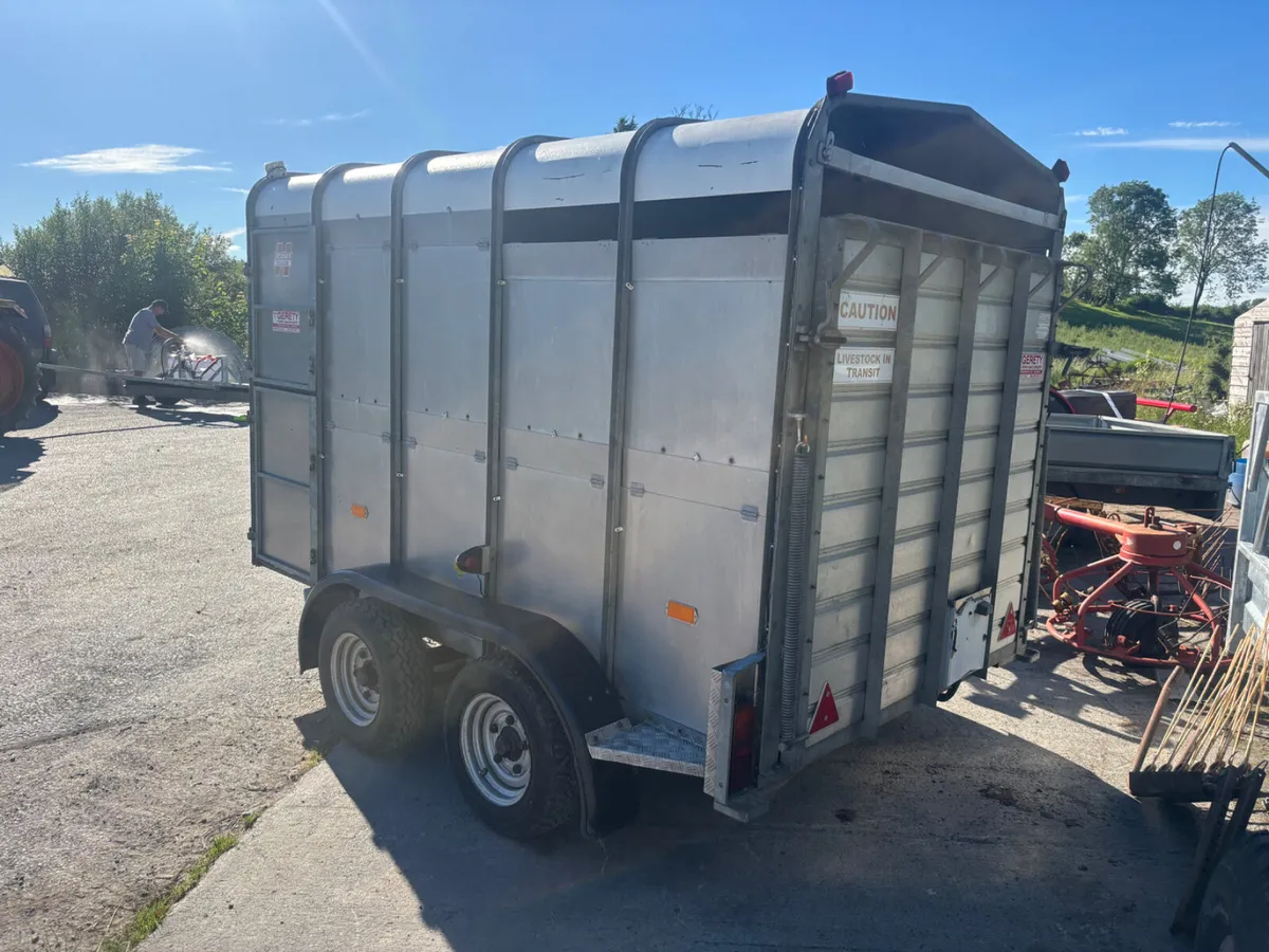 hudson 10ft livestock trailer - Image 3