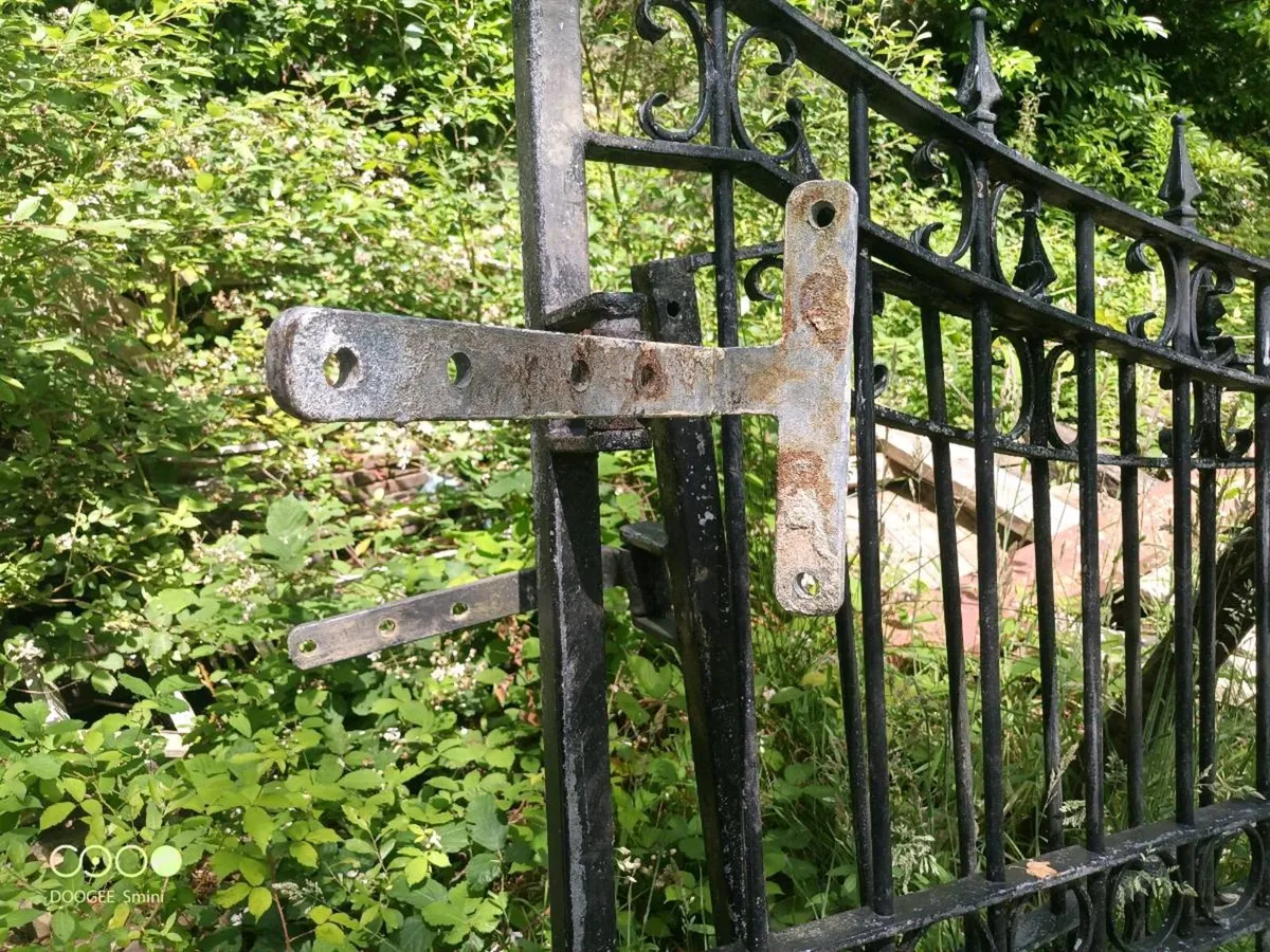 Wrought Iron Gates - Image 4