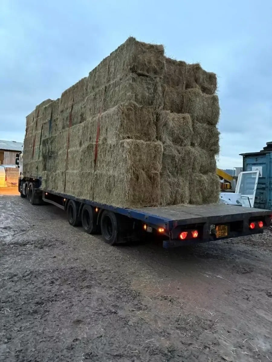 June Irish and English Hay&Haylage 🐎 - Image 3