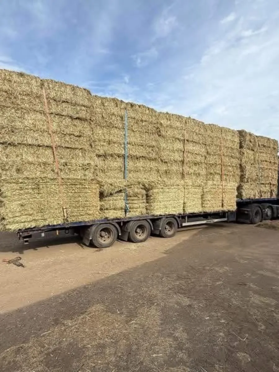 June Irish and English Hay&Haylage 🐎 - Image 1