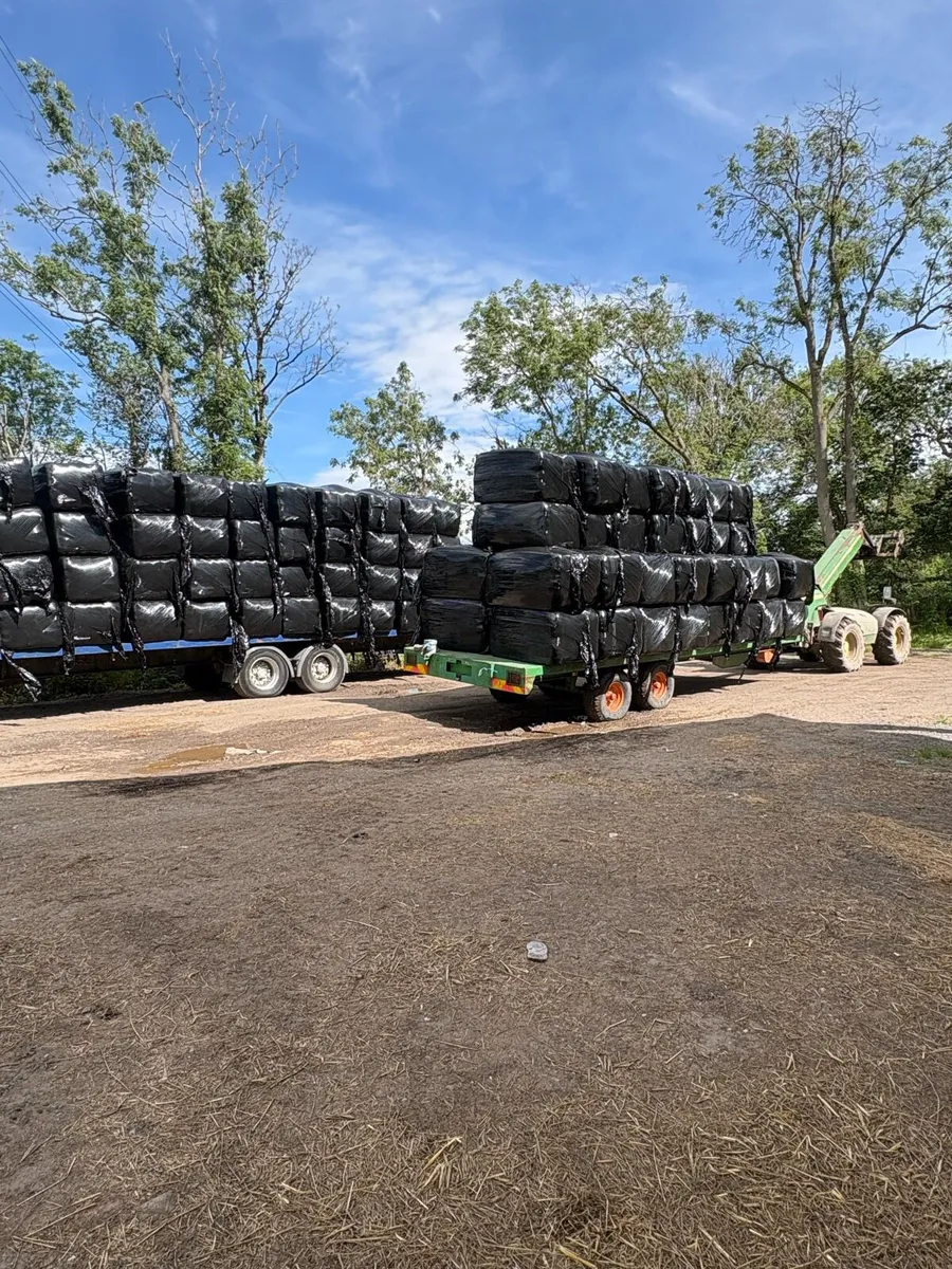 Rye grass race horse Haylage in 3x3 bales - Image 3