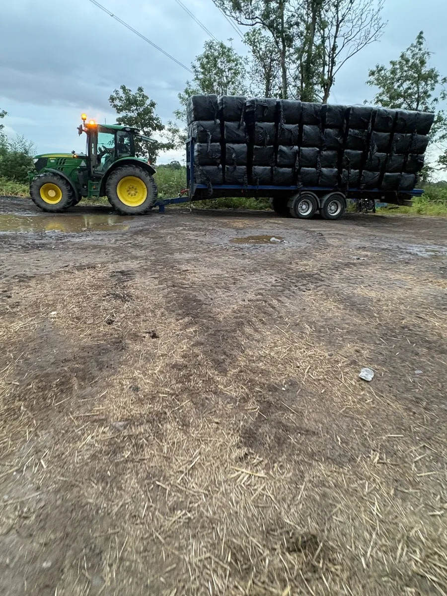 Rye grass race horse Haylage in 3x3 bales - Image 4