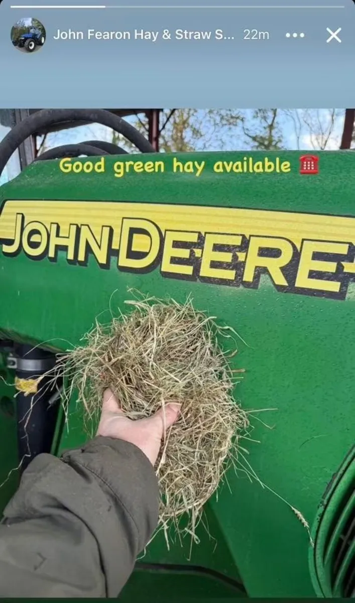 Packs of 21 wee bales of New season June hay - Image 3