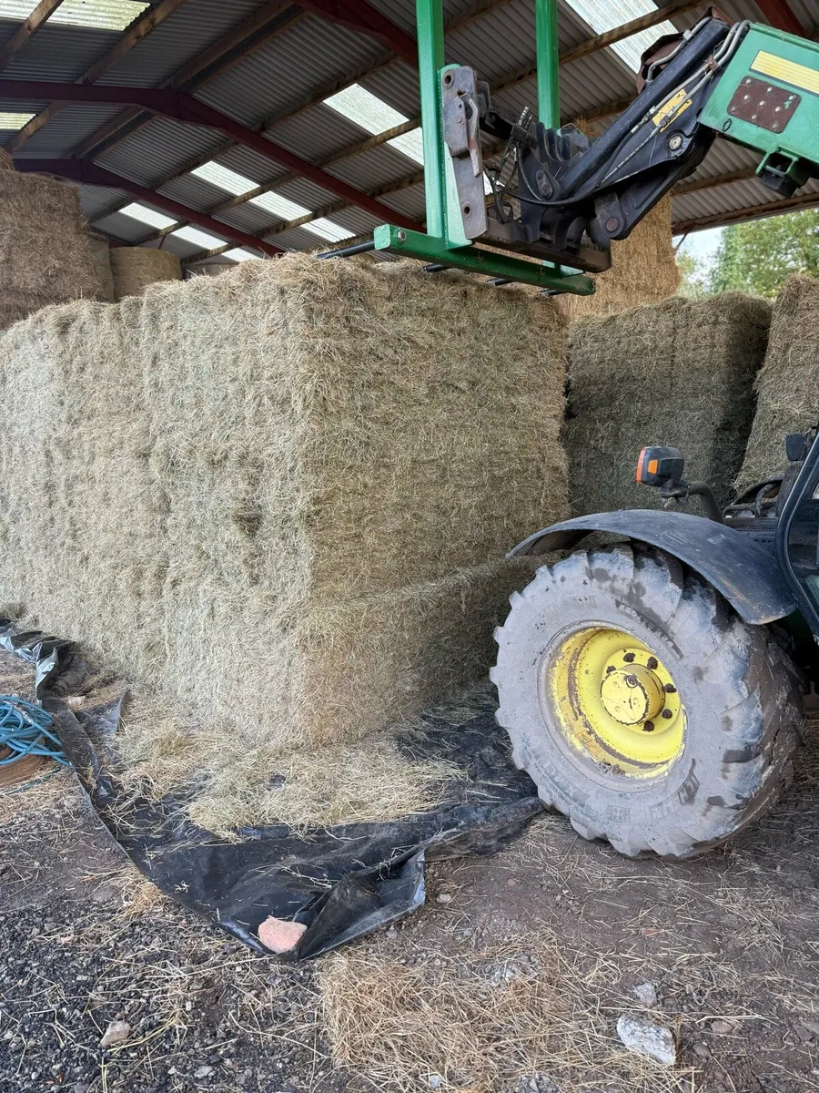 Packs of 21 wee bales of New season June hay - Image 1