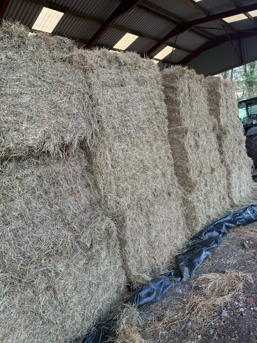 Packs of 21 wee bales of New season June hay - Image 4