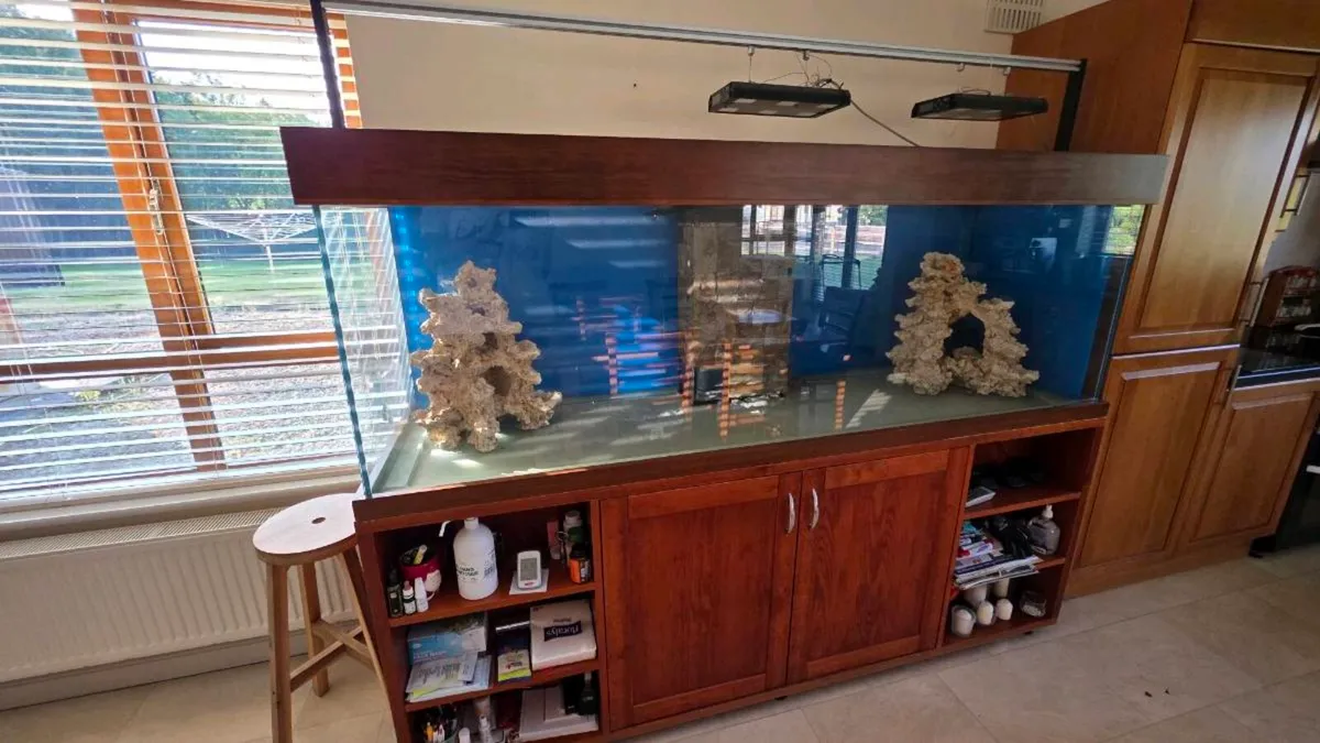 Fish Tank 1100 litres - Image 1