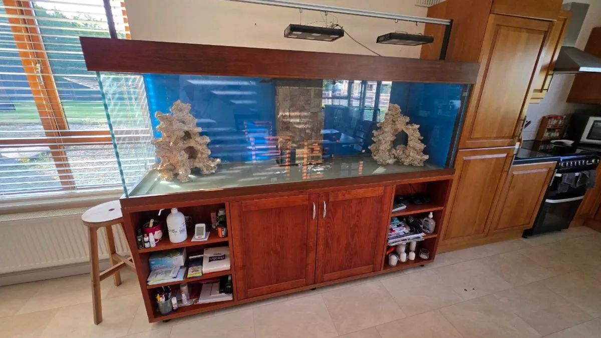 Fish Tank 1100 litres - Image 2