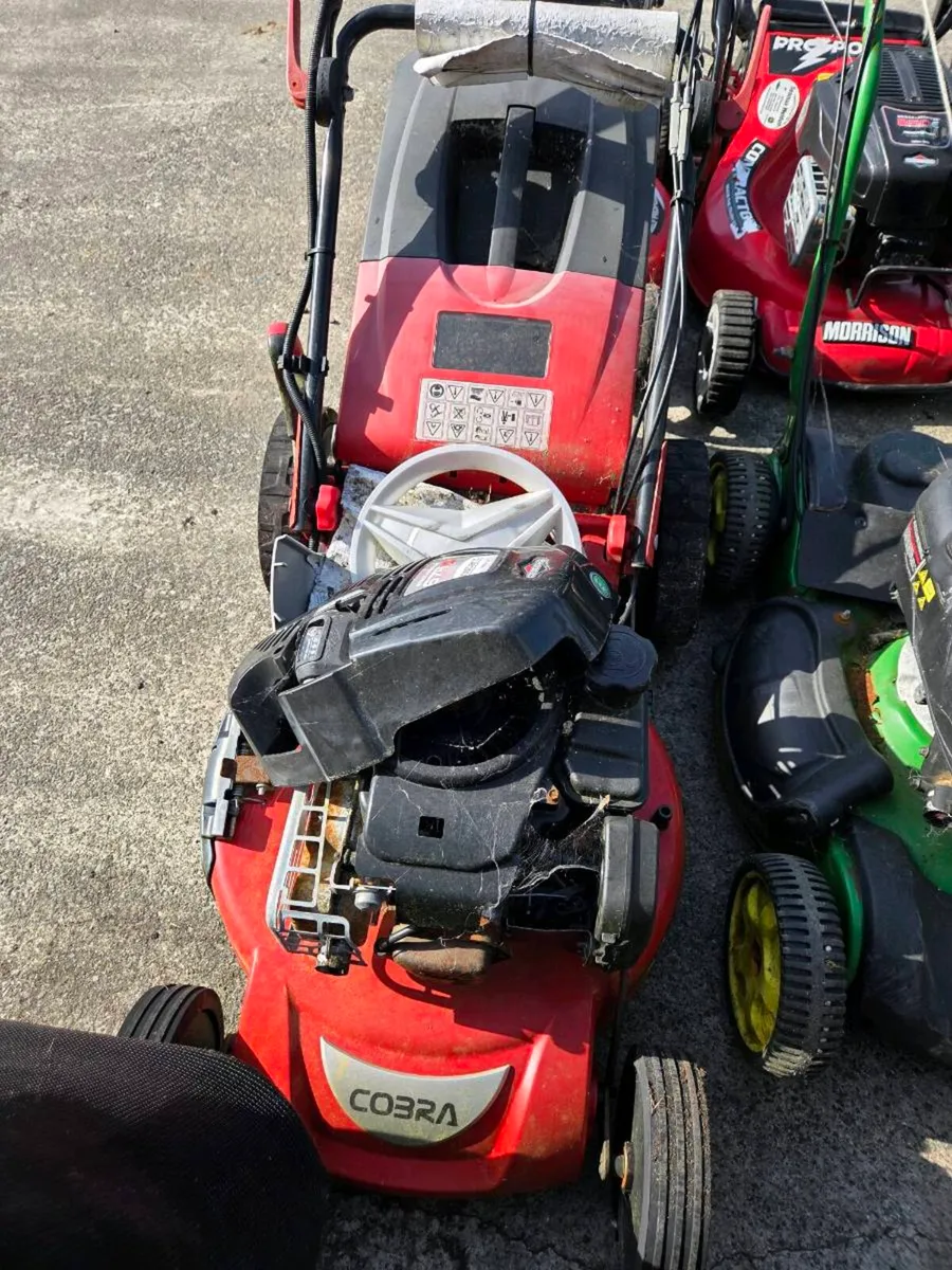 For Sale lawnmowers - Image 2