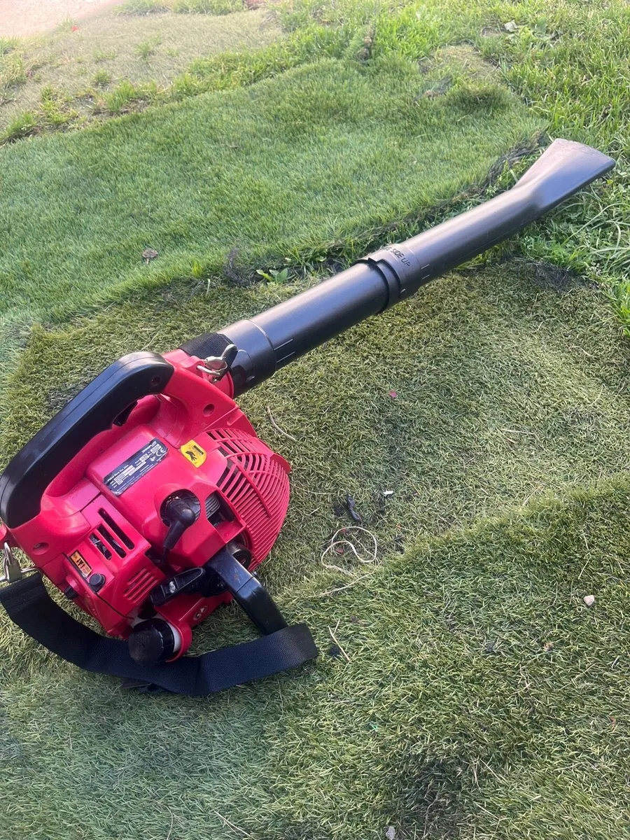 Leaf blower - Image 1