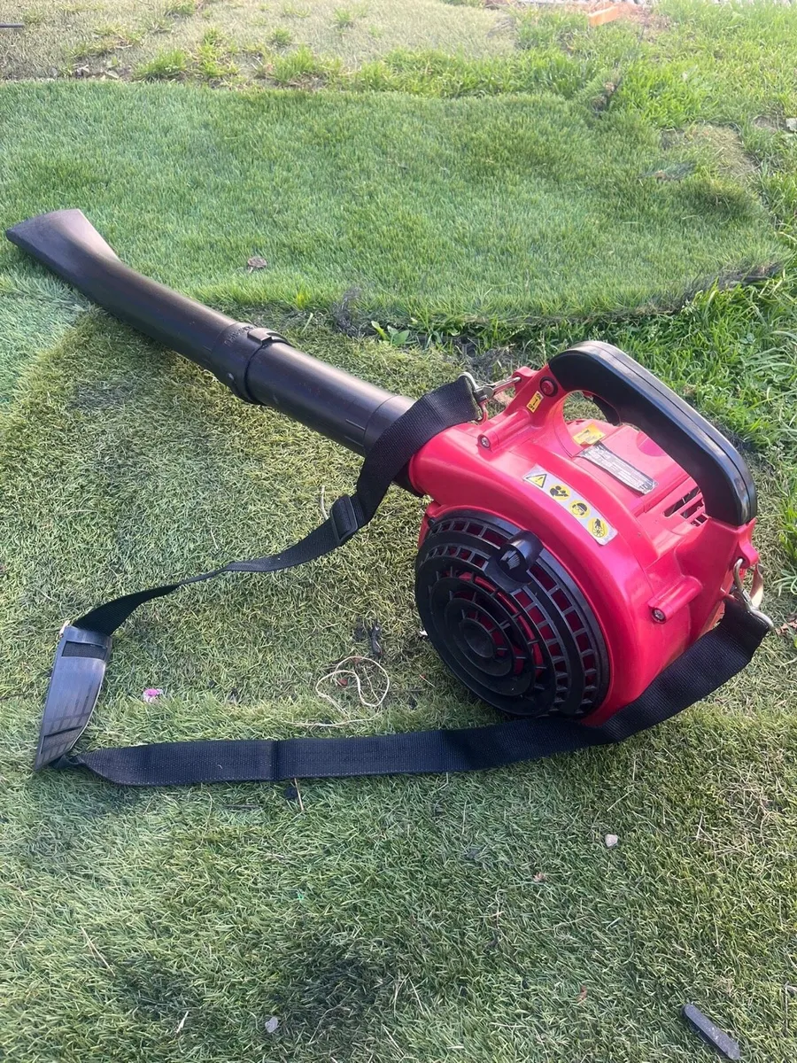 Leaf blower - Image 4