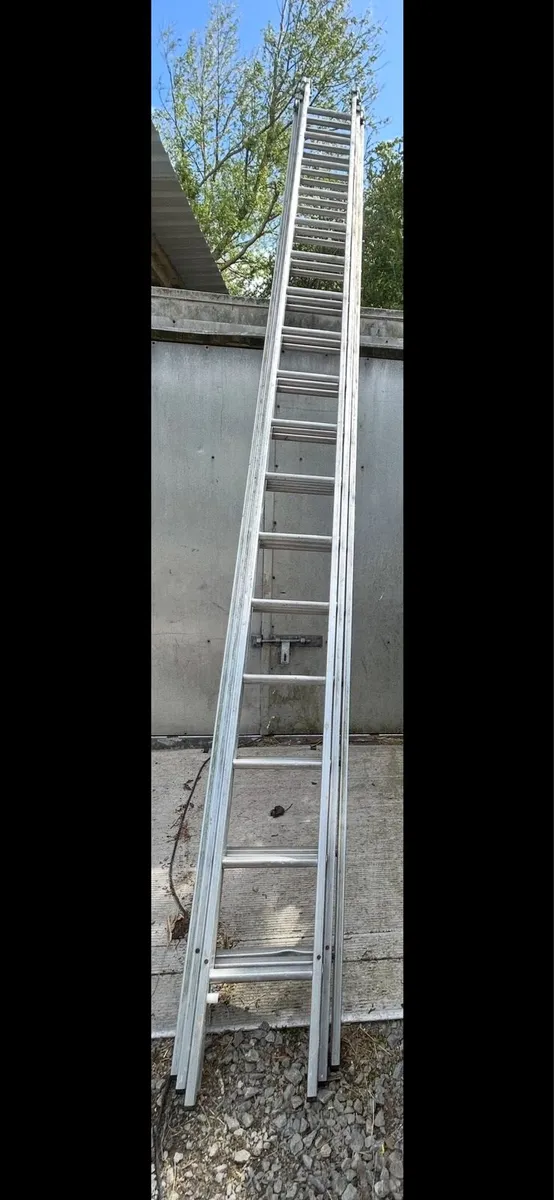 Stradbally ladder - Image 3
