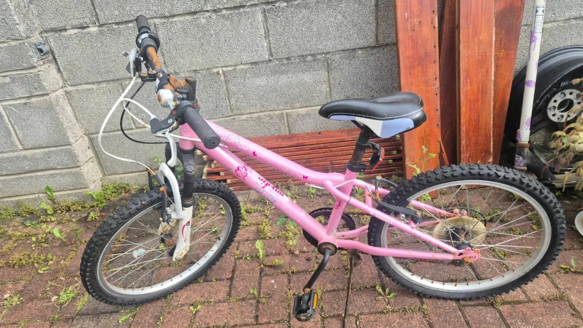Kids Bicycle - Image 1
