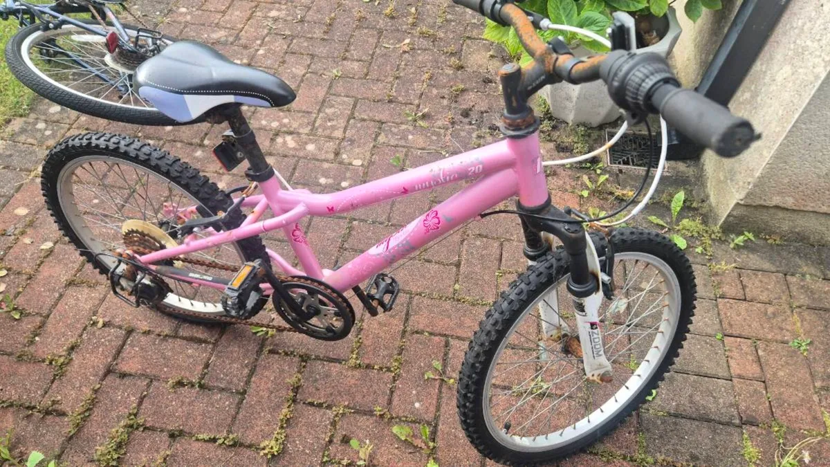 Kids Bicycle - Image 2