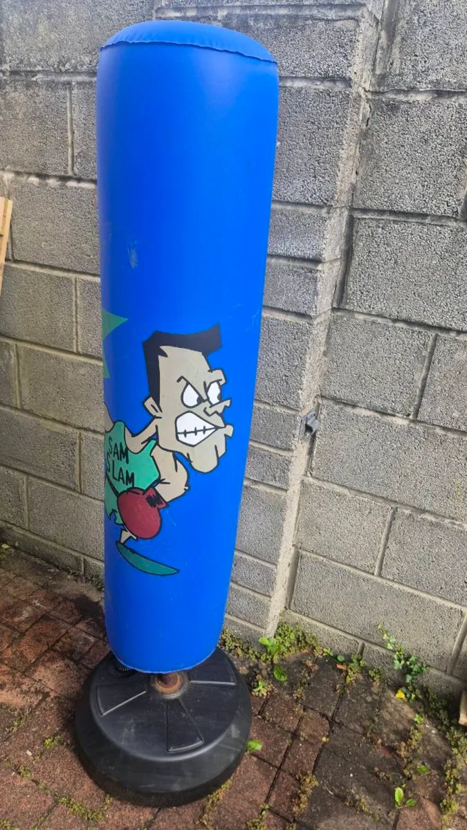 Punching bag - Image 1