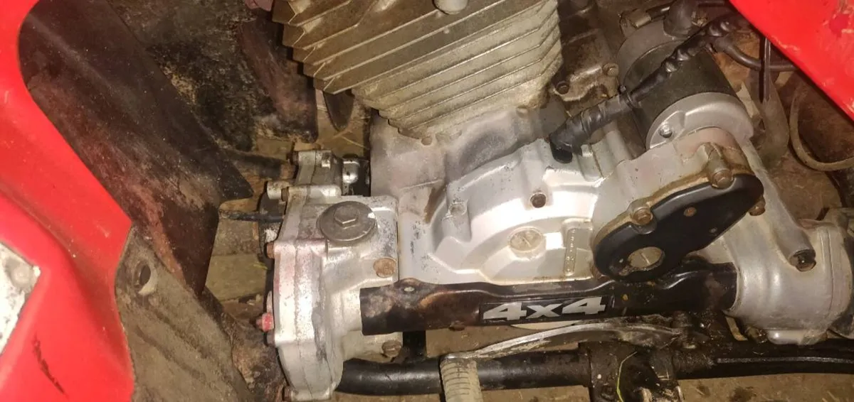 Honda quad - Image 3