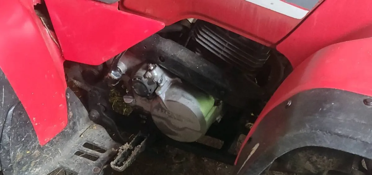 Honda quad - Image 4