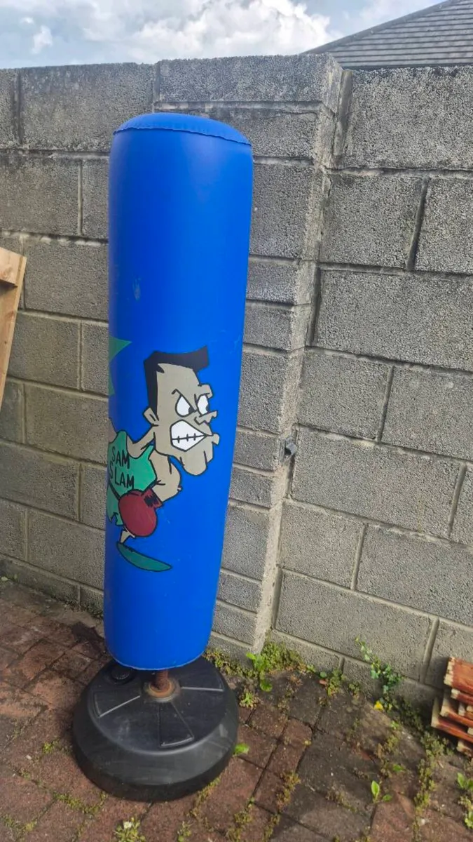 Outdoor punching bag - Image 1