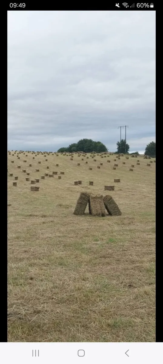 Square bales for sale - Image 2