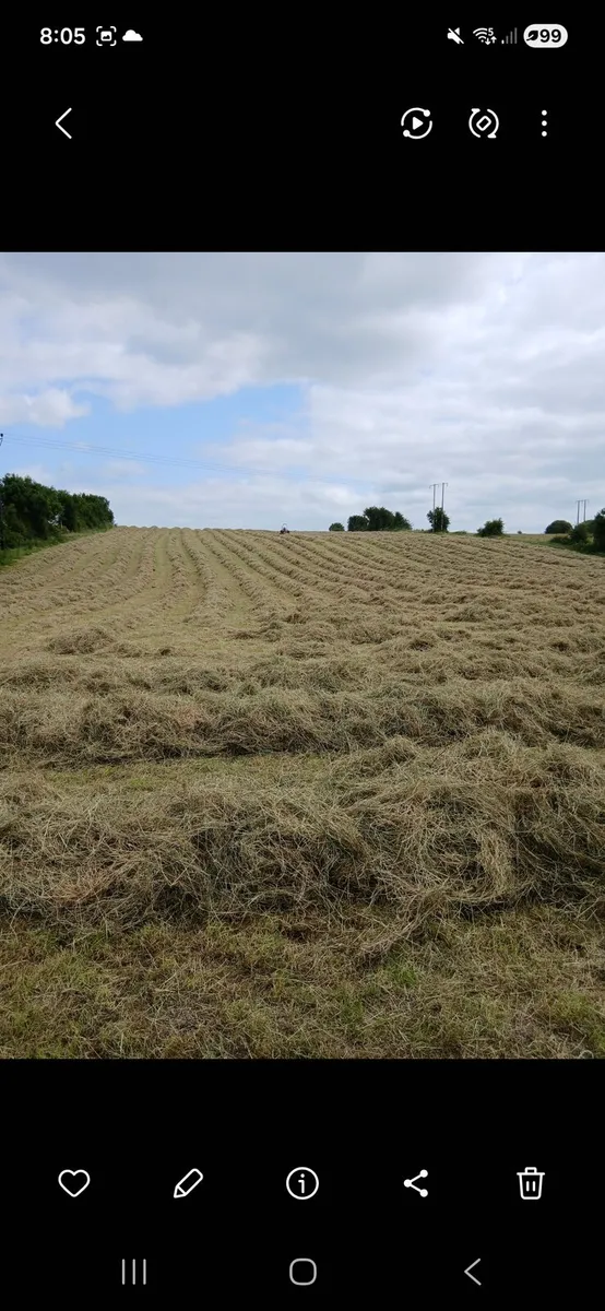 Square bales for sale - Image 3