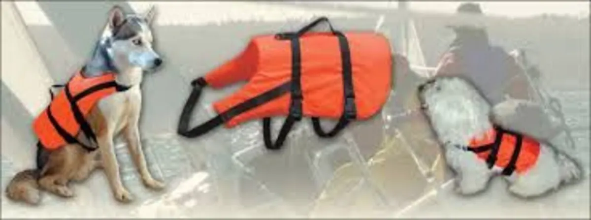 New unused Buoyancy aid & harness - Image 3