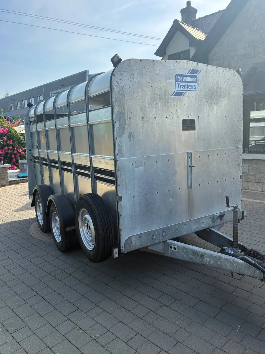 MINT 12x6 Ifor Williams cattle trailer - Image 1