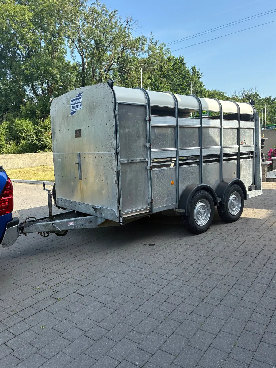 MINT 12x6 Ifor Williams cattle trailer - Image 2