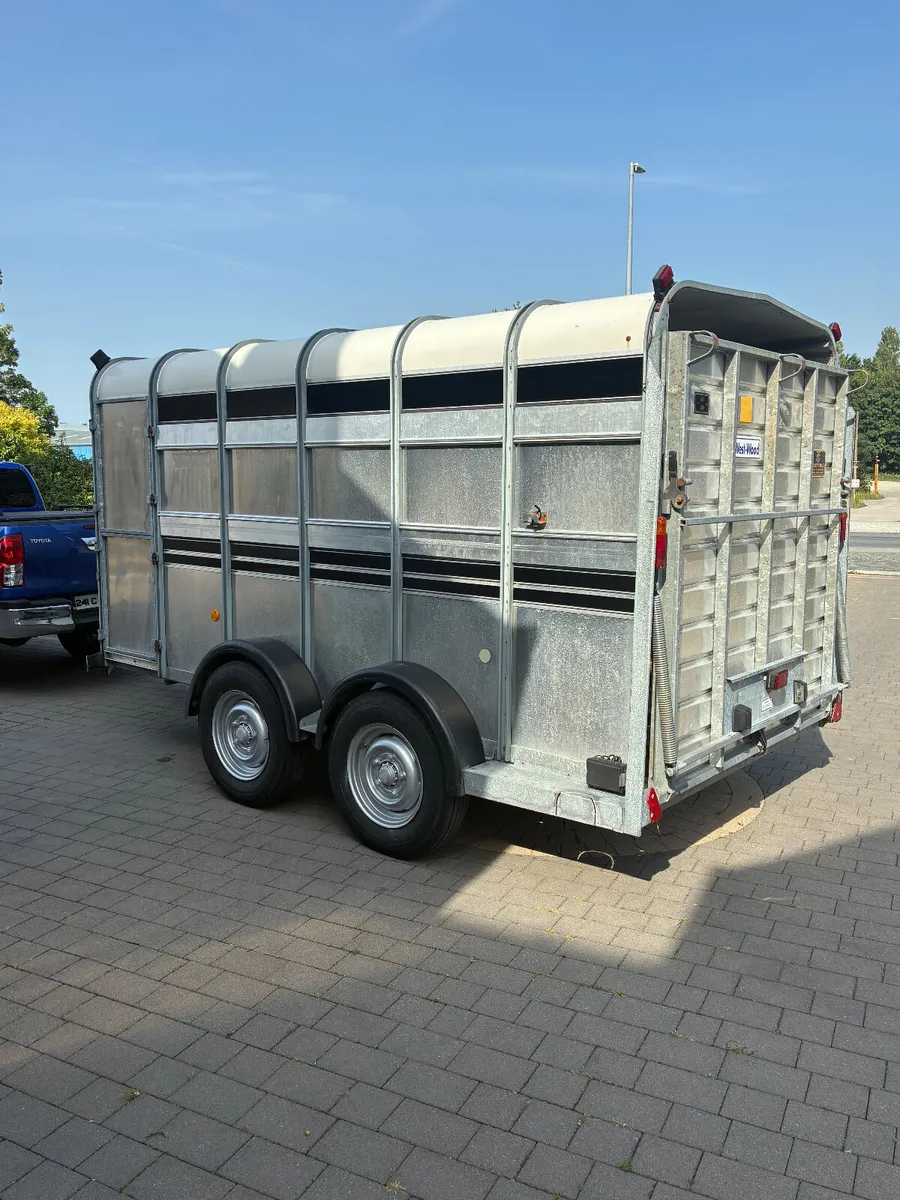 MINT 12x6 Ifor Williams cattle trailer - Image 4