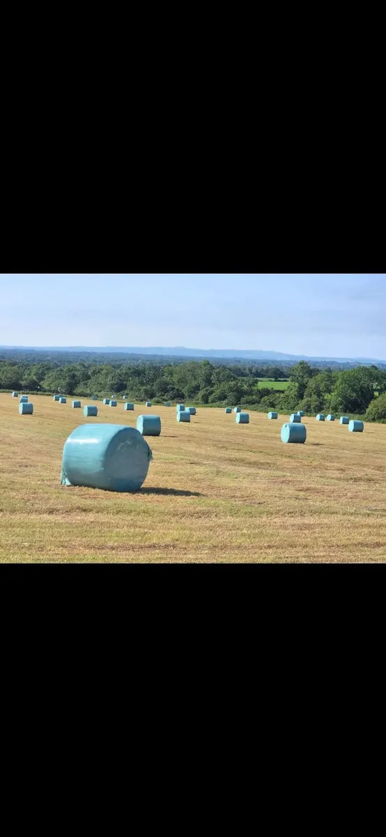 Silage  0868755587 - Image 2