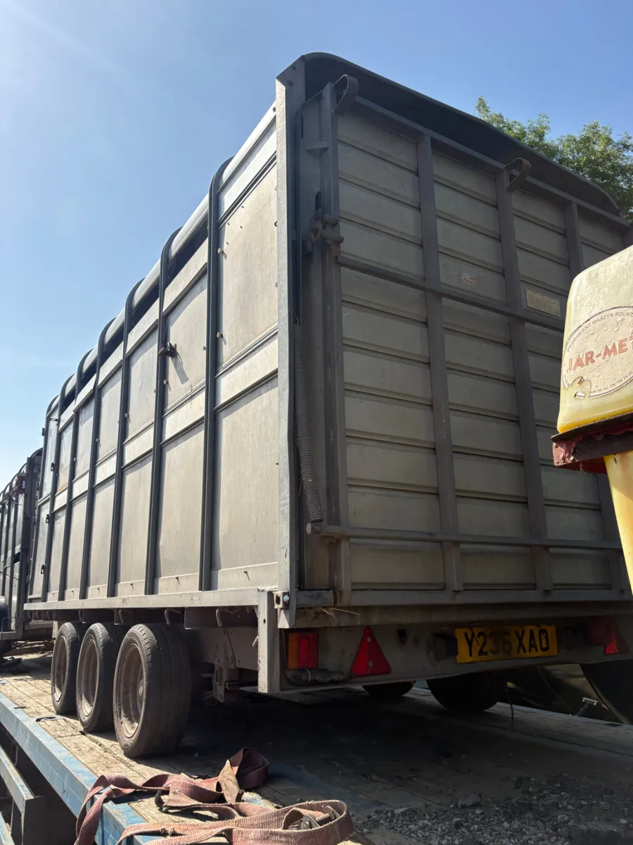 Ifor Williams 14ft dp cattle trailer - Image 2