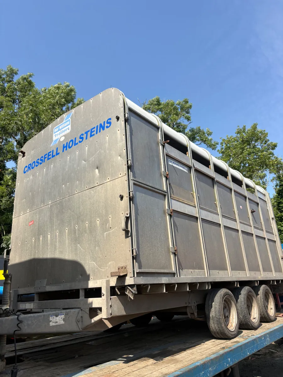 Ifor Williams 14ft dp cattle trailer - Image 1