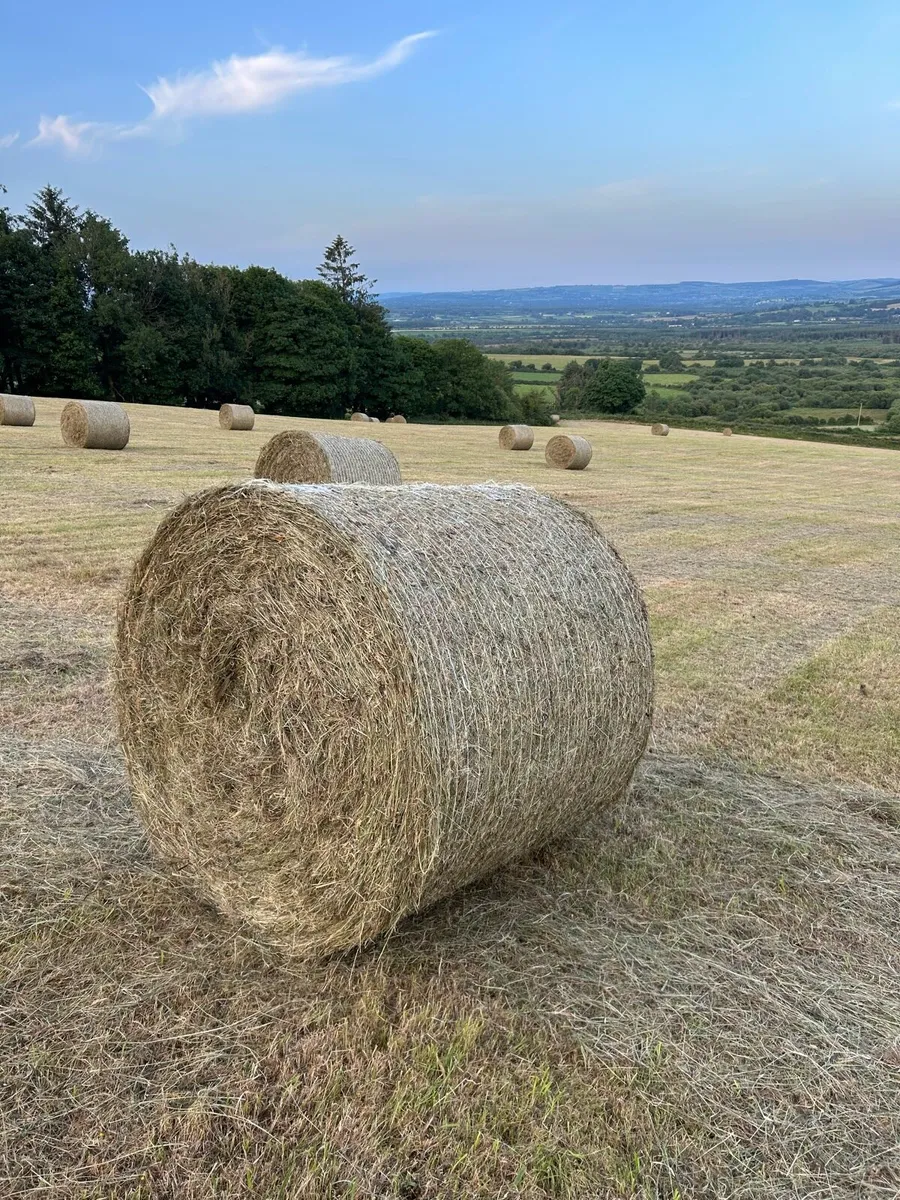 Hay Round / Small squares - Image 1
