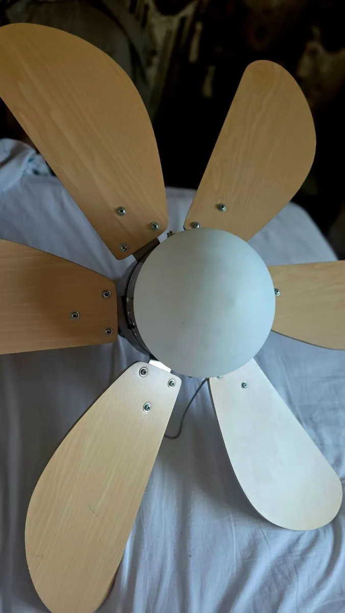 Ceiling fan - Image 4