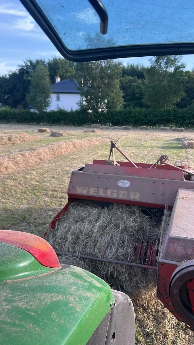 Square bale hay