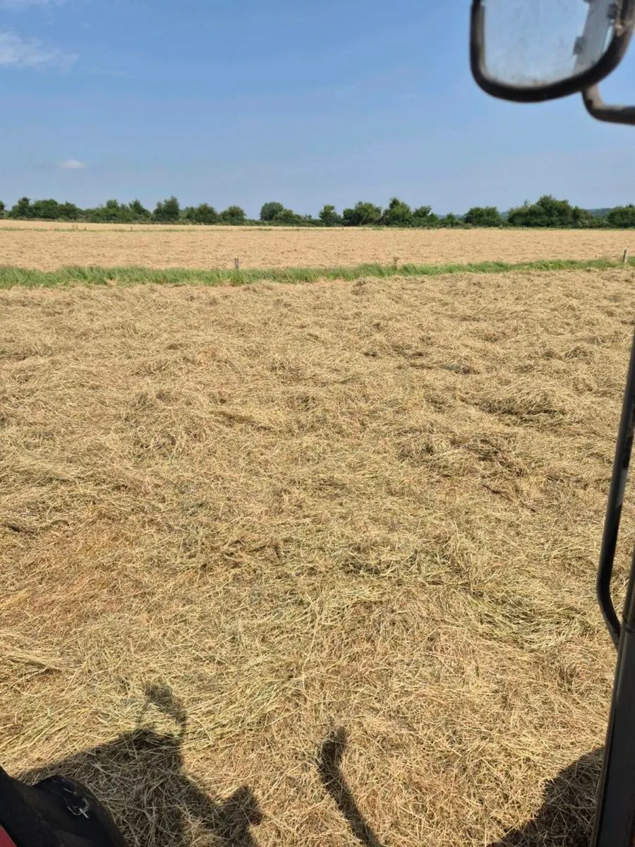 Wrapped Hay - Image 2