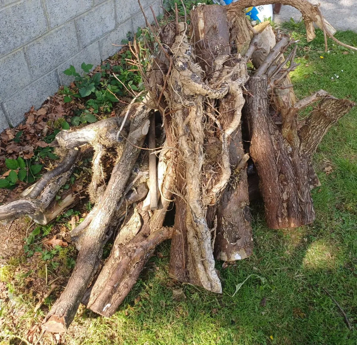 Free Firewood