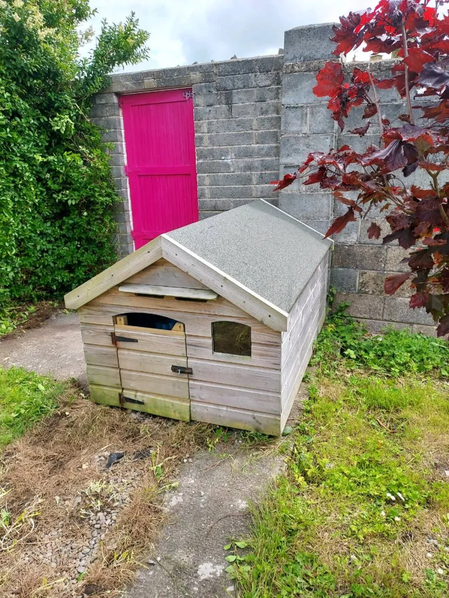 Dog Kennel - Image 3