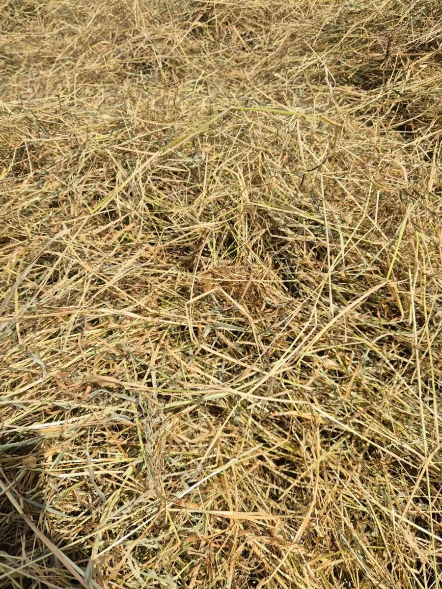 Wrapped Hay - Image 3