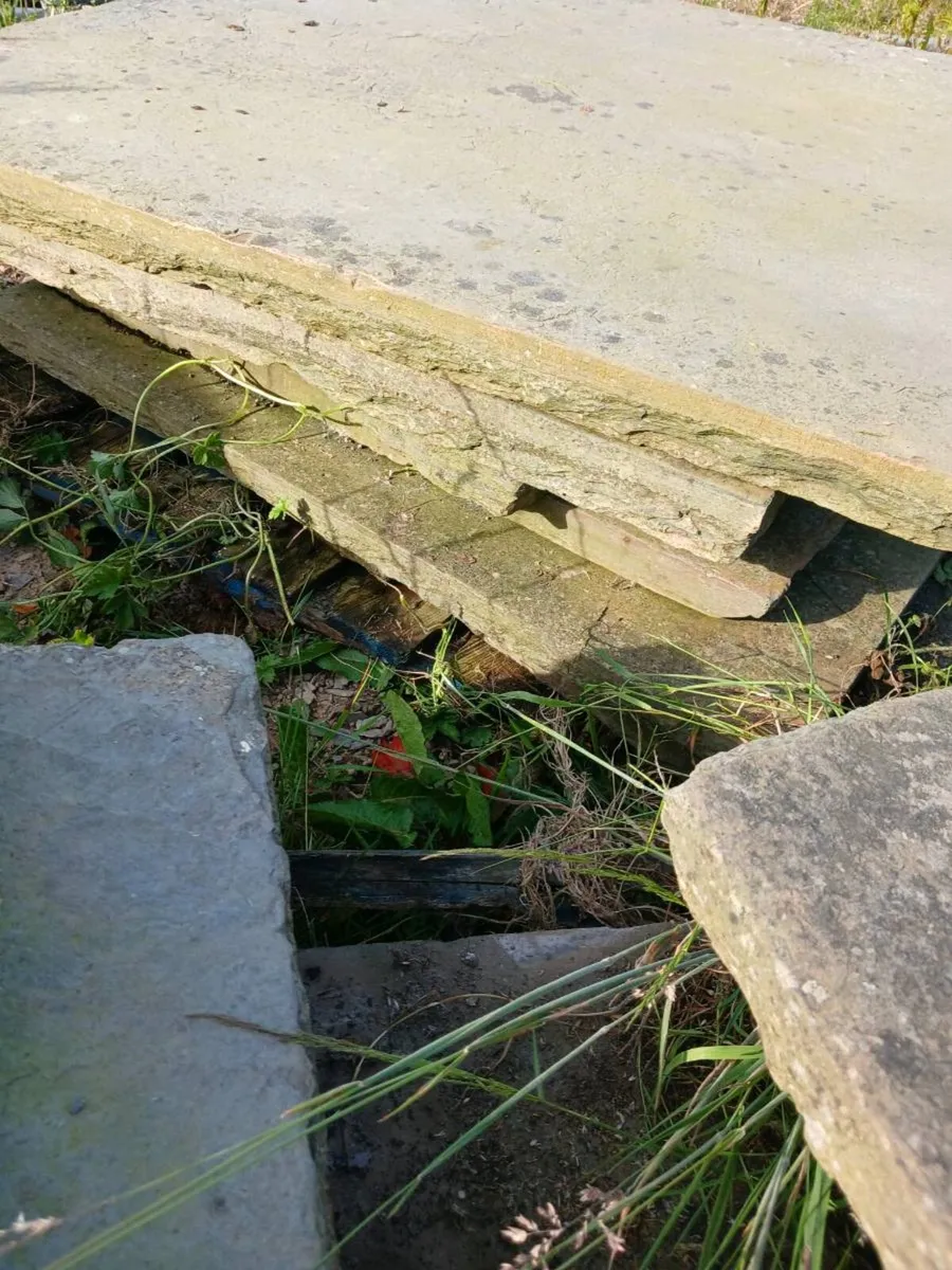 stone - Image 1