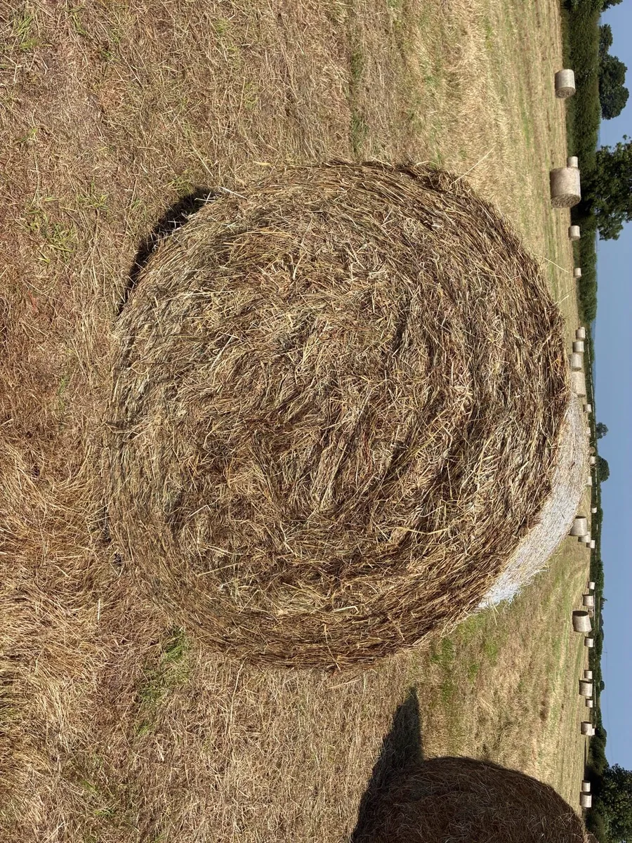 Hay bales - Image 1