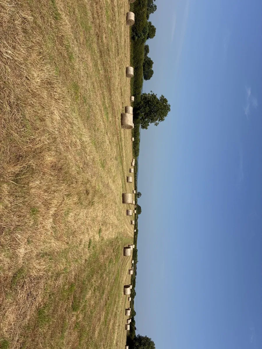 Hay bales - Image 2