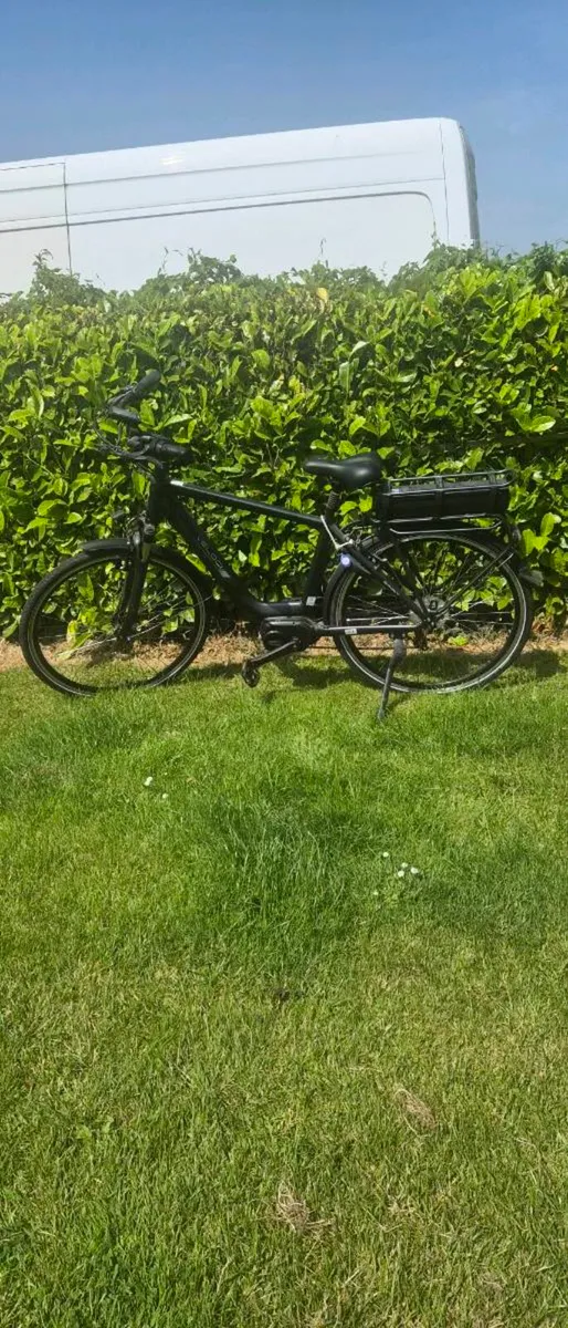 2025 Electric Bicycle - Image 1